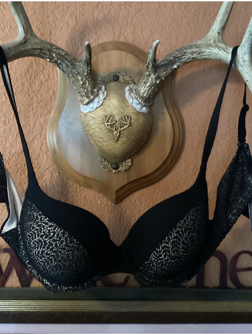 Victoria’s Secret  BRA  EC BLACK MESH
Sz 38B  PERFECT SHAPE 🆔 360128 01 18